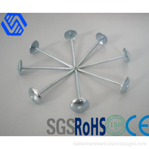 Umbrella Roofing Nail (Polished, diamond point)